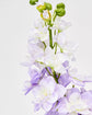 Artificial flower, HDDelphinium, Purple