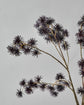 Artificial flower, HDUrchin spray, Bordeaux