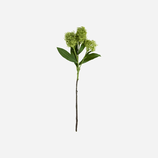 Artificial flower, HDSkimmia, Green