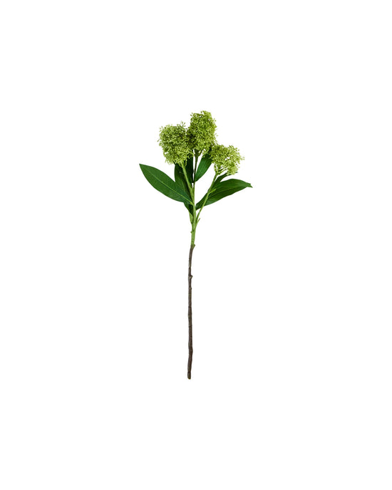Artificial flower, HDSkimmia, Green