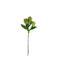 Artificial flower, HDSkimmia, Green