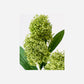 Artificial flower, HDSkimmia, Green
