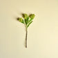 Artificial flower, HDSkimmia, Green