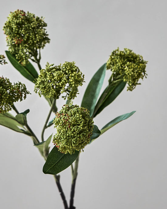 Artificial flower, HDSkimmia, Green