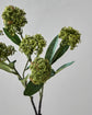 Artificial flower, HDSkimmia, Green