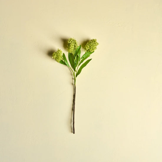 Artificial flower, HDSkimmia, Green