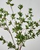 Artificial branch, HDJaponica, Green