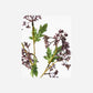 Artificial branch, HDMeadow, Burgundy
