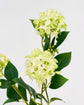 Artificial flower, HDViburnum, Green