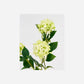 Artificial flower, HDViburnum, Green
