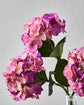 Artificial flower, HDHydrangea, Rosa