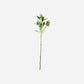 Artificial branch, HDLigustrum, Green