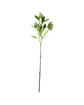 Artificial branch, HDLigustrum, Green
