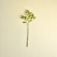 Artificial branch, HDLigustrum, Grün
