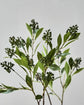 Artificial branch, HDLigustrum, Green