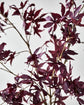Artificial branch, HDMaple, Burgundy