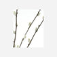 Artificial branch, HDSalix, Green