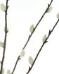 Artificial branch, HDSalix, Grün