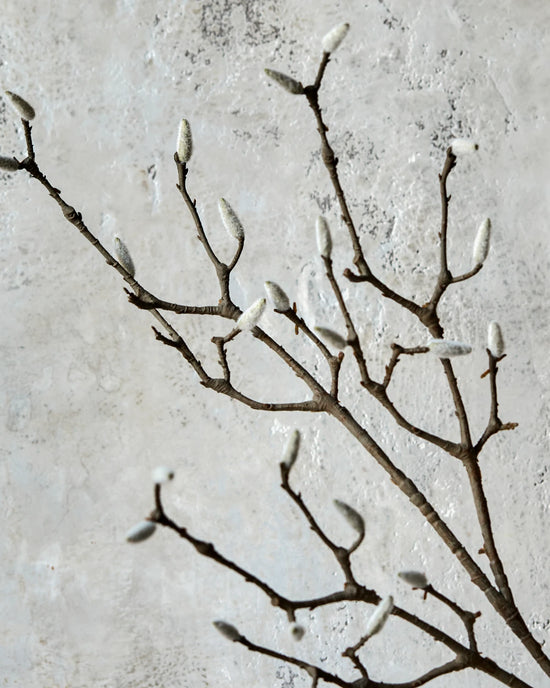 Artificial branch, HDMagnolia, Hvid