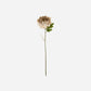 Artificial flower, HDChrysanthemum, Dusty Rose