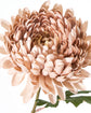 Artificial flower, HDChrysanthemum, Staubige Rose