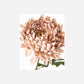 Artificial flower, HDChrysanthemum, Dusty Rose