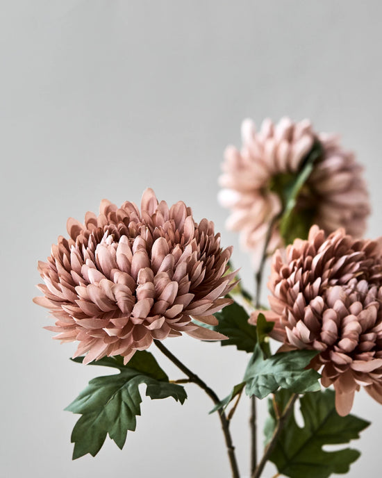 Artificial flower, HDChrysanthemum, Støvet rose