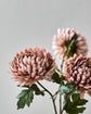 Artificial flower, HDChrysanthemum, Dusty Rose