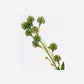 Artificial branch, HDSedum, Grün