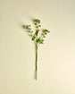 Artificial branch, HDSedum, Grün