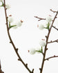 Artificial branch, HDDecor, White