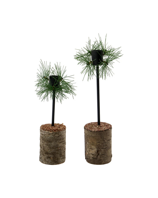 Candle holder, HDKings, Black, Brown