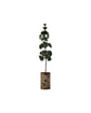 Christmas tree, HDPine, Green
