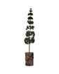 Christmas tree, HDPine, Green