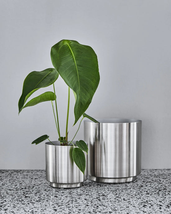 Planter, HDBailey, Silver finish