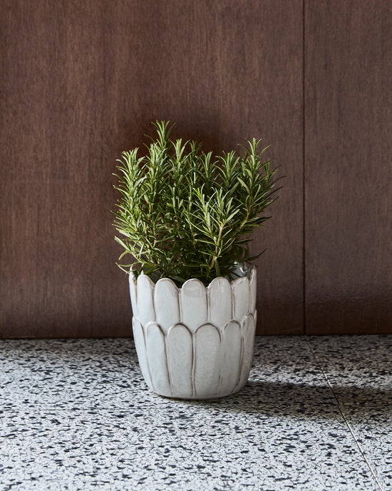 Planter, HDEzra, Off-white
