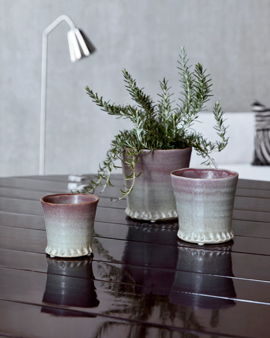 Planter, HDVille, Purple rain