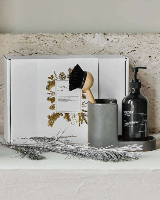 Gift boxCH, dark grey holder + nature brush + shadow lake dish wash, 490 ml